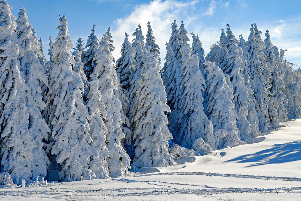 vêtements d'hiver